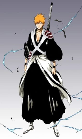 Bleach Ichigo