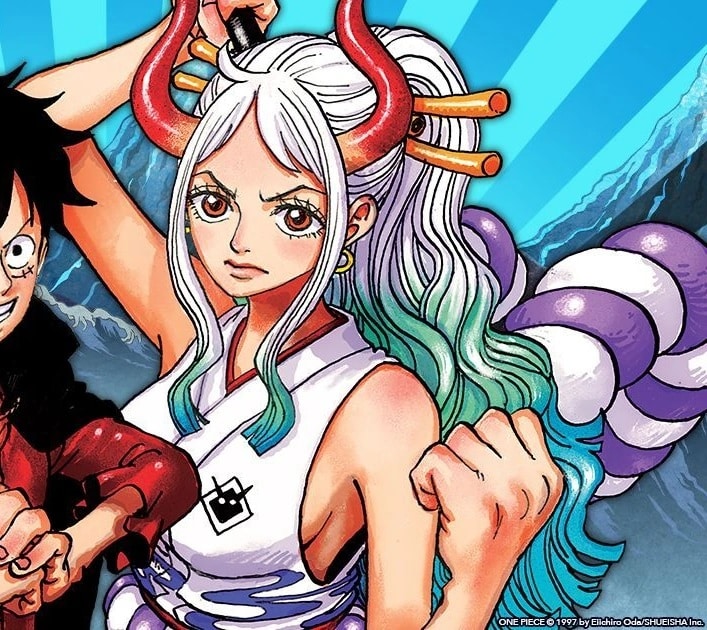 13 Sexiest Female Characters In One Piece