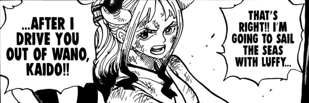 One Piece Chapter 1020 Spoilers, Raw Scans, Discussions - ** OtakuHermit