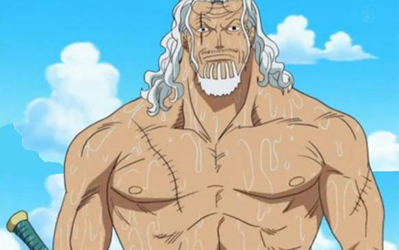 One Piece Rayleigh